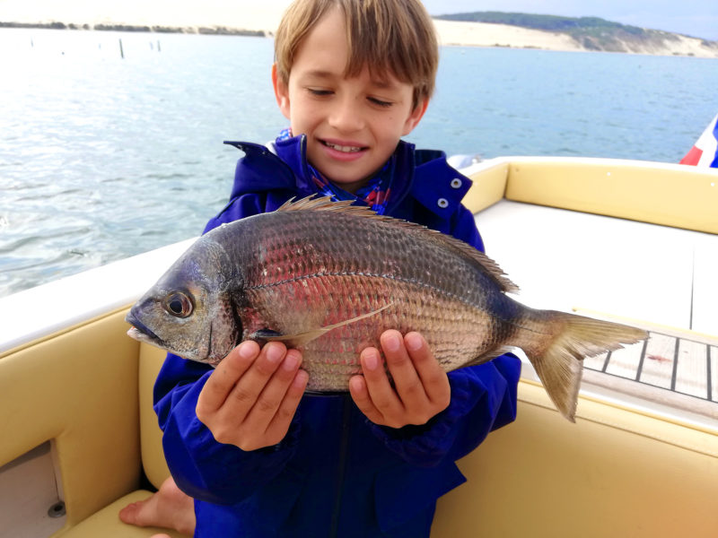 Actualités : Tour d’horizon de la pêche sur le bassin