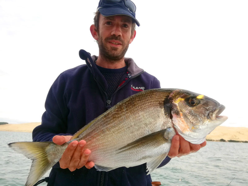 Actualités : Comment allez vous les pêchous?