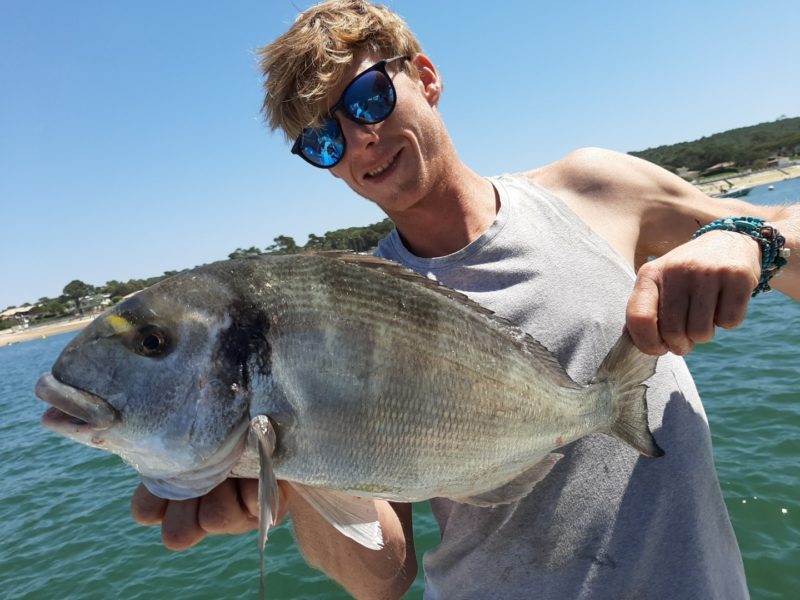 Actualités : La saison estivale est belle et bien lancée sur le Bassin d’Arcachon !